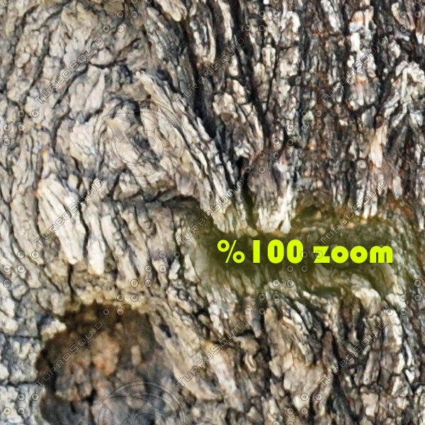 maya scanline ash tree - Old Ash Tree by solarseas