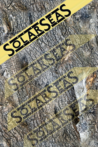 maya scanline ash tree - Old Ash Tree by solarseas
