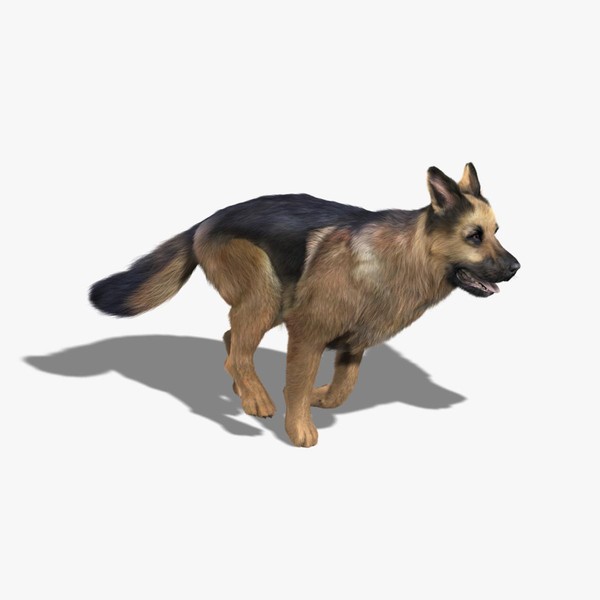 animated german shepherd