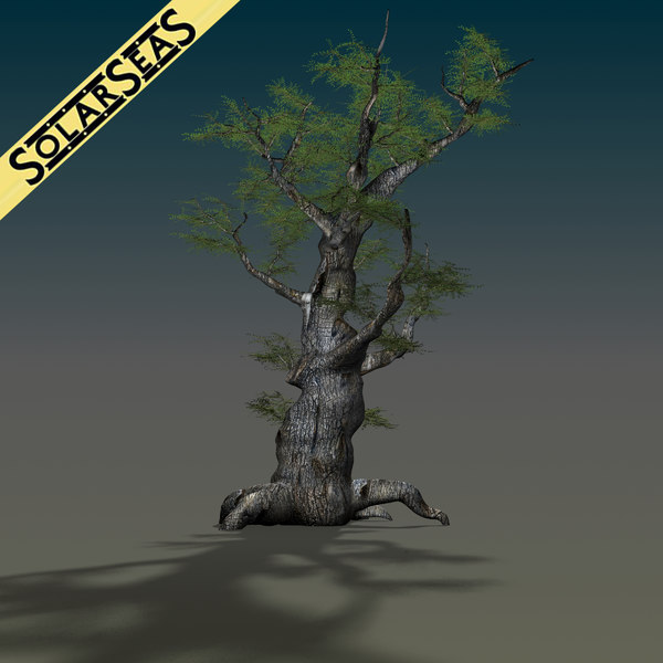 maya scanline ash tree - Old Ash Tree by solarseas