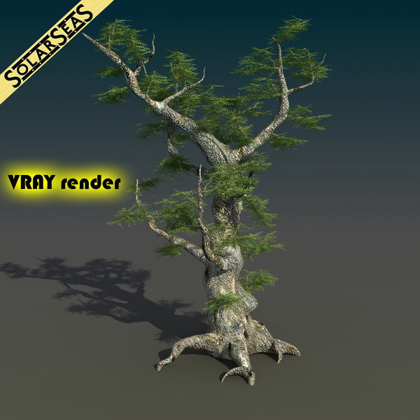 maya scanline ash tree - Old Ash Tree by solarseas