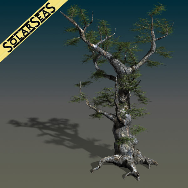 maya scanline ash tree - Old Ash Tree by solarseas