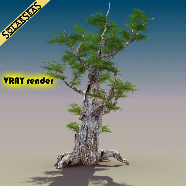 maya scanline ash tree - Old Ash Tree by solarseas