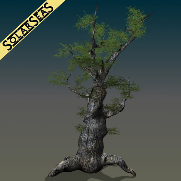 maya scanline ash tree - Old Ash Tree by solarseas