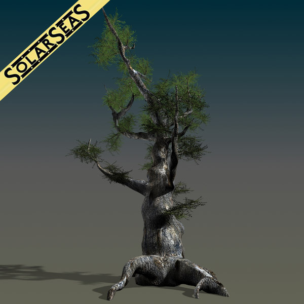 maya scanline ash tree - Old Ash Tree by solarseas