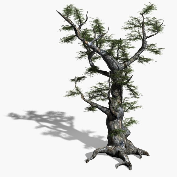 maya scanline ash tree - Old Ash Tree by solarseas