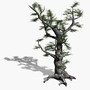 scanline ash tree 3d max