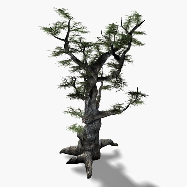 maya scanline ash tree - Old Ash Tree by solarseas