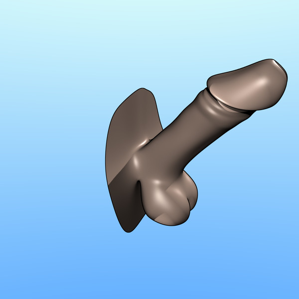 penis obj - Penis by erossion