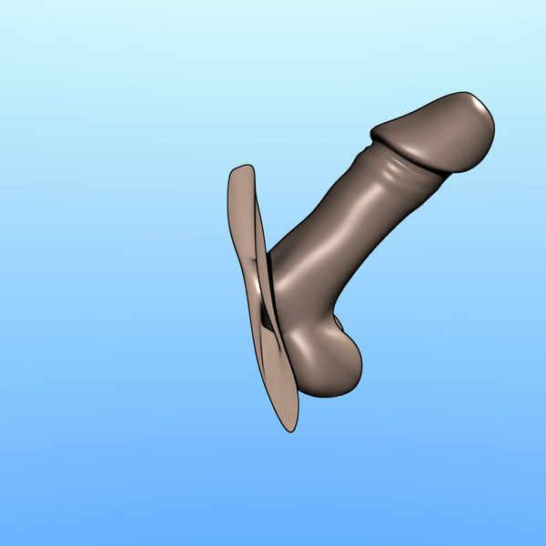 penis obj - Penis by erossion