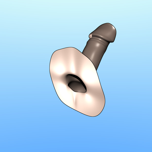 penis obj - Penis by erossion