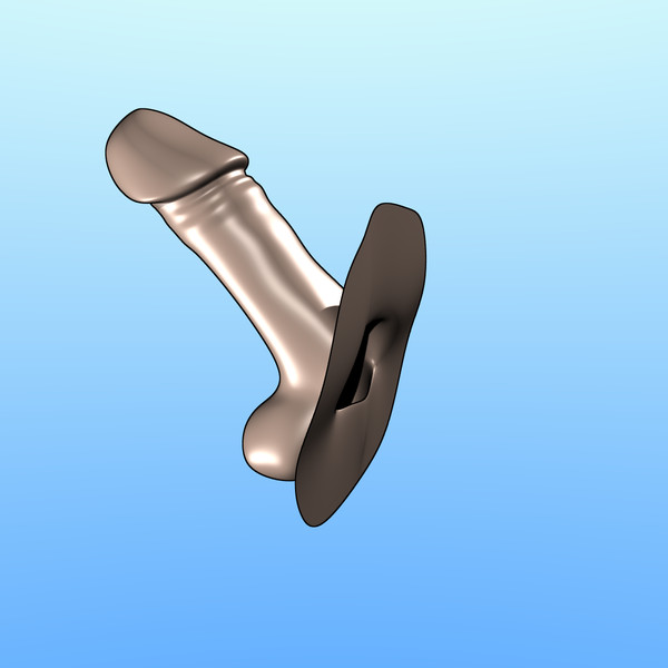 penis obj - Penis by erossion
