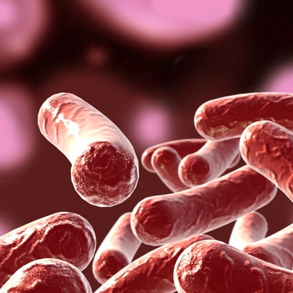 bacillus 3d max - Bacillus_02 by bihoreanul