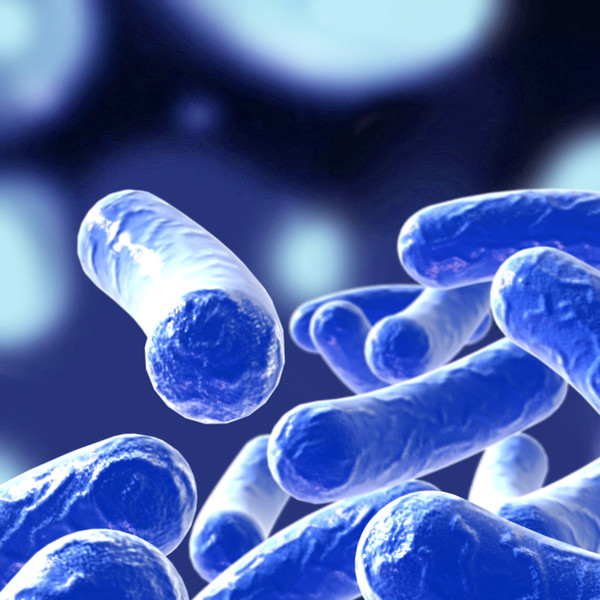 3ds max bacillus - Bacillus_03 by bihoreanul