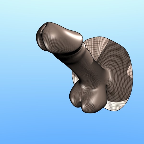 penis obj - Penis by erossion