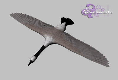 3d canadian goose model - Canadian Goose... by HIVEFX