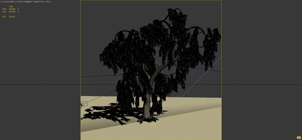 3d realistic acacia tree - Acacia Salicina Tree by solarseas
