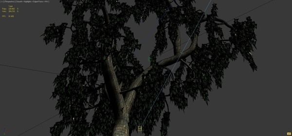 3d realistic acacia tree - Acacia Salicina Tree by solarseas