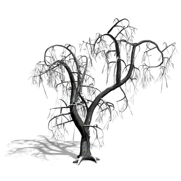 3d scanline winter deciduous tree - Winter Tree with Snow (5)... by solarseas