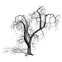 3d scanline winter deciduous tree