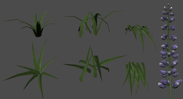 3d grass flower model - Grass and Flower Collection by DDuckworth