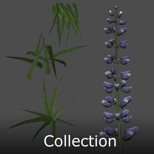 3d grass flower model - Grass and Flower Collection by DDuckworth