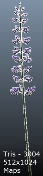 3d grass flower model - Grass and Flower Collection by DDuckworth
