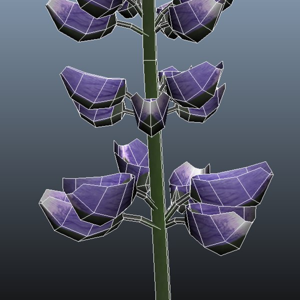 3d grass flower model - Grass and Flower Collection by DDuckworth