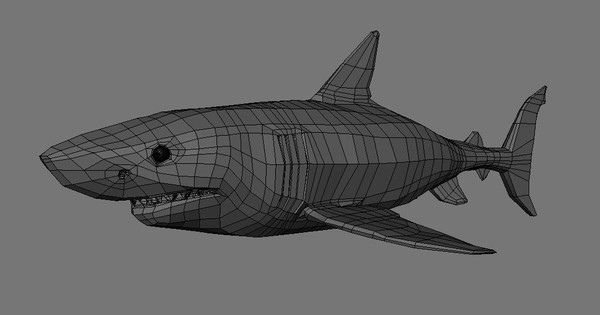 ma great white shark - Great White Shark by SJJWalsh
