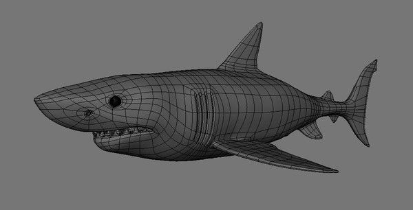 ma great white shark - Great White Shark by SJJWalsh