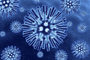 Blue Bacteria