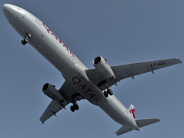 airbus a321 qatar 3d model - Airbus A321 Qatar Airways by Eric.Levi