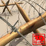 3d barbed wire