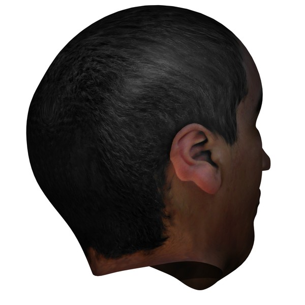 3d head face - Textured Face by 3DUniverse Pro
