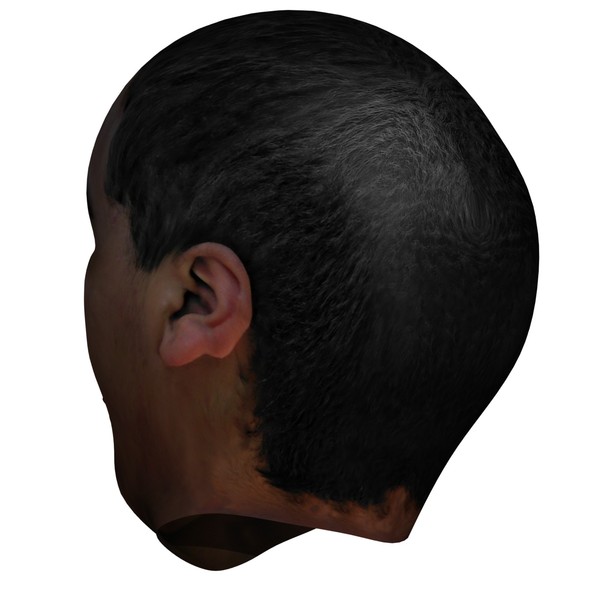 3d head face - Textured Face by 3DUniverse Pro