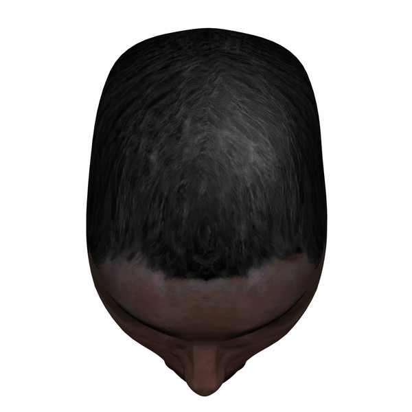 3d head face - Textured Face by 3DUniverse Pro