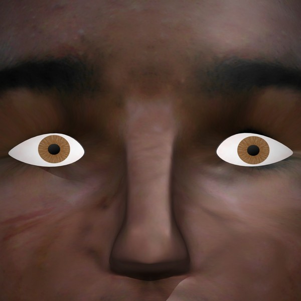 3d head face - Textured Face by 3DUniverse Pro