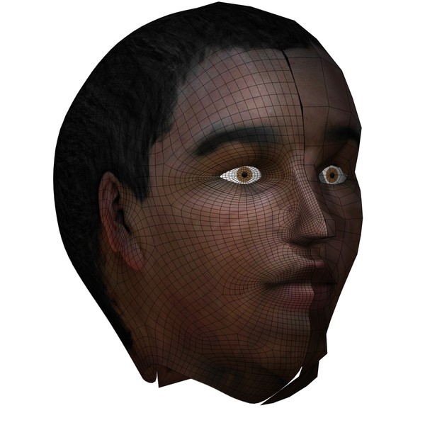 3d head face - Textured Face by 3DUniverse Pro