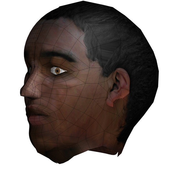3d head face - Textured Face by 3DUniverse Pro