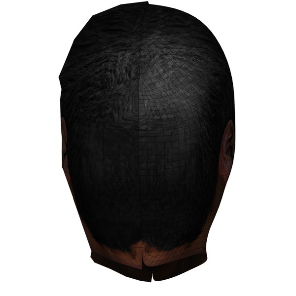 3d head face - Textured Face by 3DUniverse Pro