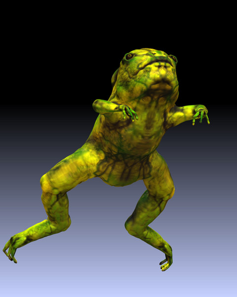 frog 3d model - forg by LuciOroles