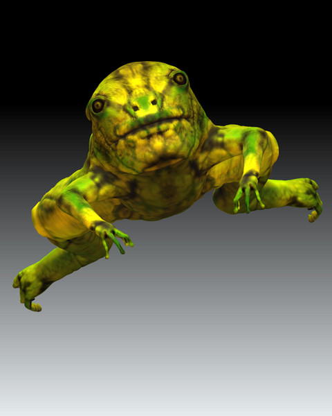 frog 3d model - forg by LuciOroles
