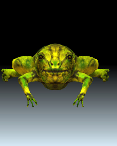 frog 3d model - forg by LuciOroles