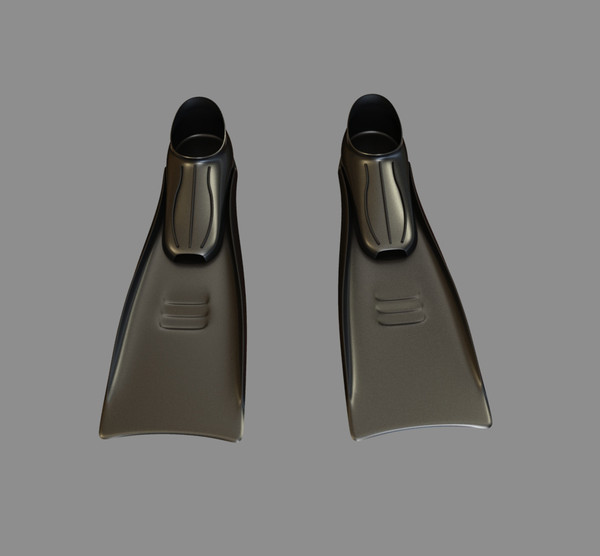 3d flippers model - Flippers by dentonvanzan