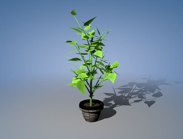 maya small plant - plant RB by raffibedross
