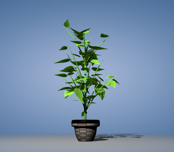 maya small plant - plant RB by raffibedross