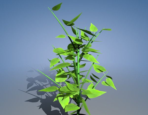 maya small plant - plant RB by raffibedross