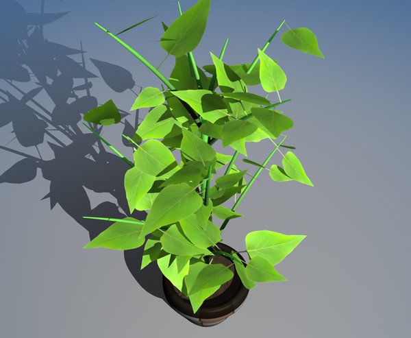maya small plant - plant RB by raffibedross