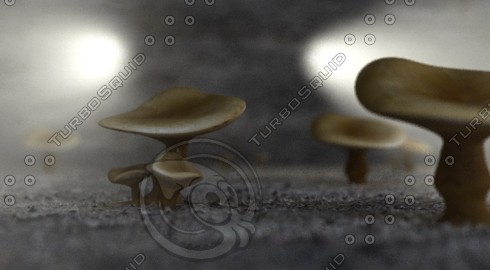 3d mushroom model - mushroom by igraia