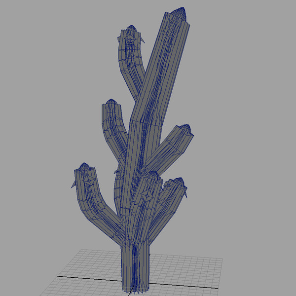 3d saguaro cactus model - Saguaro Cactus by The Maya Guy